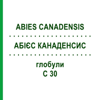АБИЕС КАНАДЕНСИС (ABIES CANADENSIS) C 30 глобули 10 г - Гомеопатия DHU