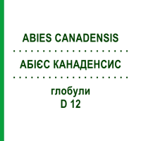 АБІЄС КАНАДЕНСИС (ABIES CANADENSIS) D 12 глобули 10 г - Гомеопатія DHU