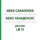 АБИЕС КАНАДЕНСИС (ABIES CANADENSIS) LM 15 раствор 10 мл - Гомеопатия ARCANA DR.SEWERIN