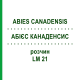 АБИЕС КАНАДЕНСИС (ABIES CANADENSIS) LM 21 раствор 10 мл - Гомеопатия ARCANA DR.SEWERIN