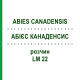 АБИЕС КАНАДЕНСИС (ABIES CANADENSIS) LM 22 раствор 10 мл - Гомеопатия ARCANA DR.SEWERIN