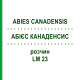 АБИЕС КАНАДЕНСИС (ABIES CANADENSIS) LM 23 раствор 10 мл - Гомеопатия ARCANA DR.SEWERIN