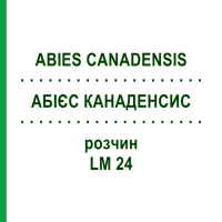 АБІЄС КАНАДЕНСИС (ABIES CANADENSIS) LM 24 розчин 10 мл - Гомеопатія ARCANA DR.SEWERIN