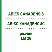 АБІЄС КАНАДЕНСИС (ABIES CANADENSIS) LM 26 розчин 10 мл - Гомеопатія ARCANA DR.SEWERIN