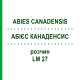 АБИЕС КАНАДЕНСИС (ABIES CANADENSIS) LM 27 раствор 10 мл - Гомеопатия ARCANA DR.SEWERIN
