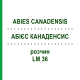 АБИЕС КАНАДЕНСИС (ABIES CANADENSIS) LM 36 раствор 10 мл - Гомеопатия ARCANA DR.SEWERIN