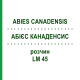 АБИЕС КАНАДЕНСИС (ABIES CANADENSIS) LM 45 раствор 10 мл - Гомеопатия ARCANA DR.SEWERIN