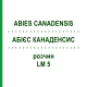 АБИЕС КАНАДЕНСИС (ABIES CANADENSIS) LM 5 раствор 10 мл - Гомеопатия ARCANA DR.SEWERIN