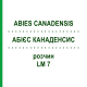 АБИЕС КАНАДЕНСИС (ABIES CANADENSIS) LM 7 раствор 10 мл - Гомеопатия ARCANA DR.SEWERIN