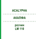 АКАЛИФА (ACALYPHA) LM 110 раствор 10 мл - Гомеопатия ARCANA DR.SEWERIN