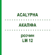АКАЛИФА (ACALYPHA) LM 12 раствор 10 мл - Гомеопатия ARCANA DR.SEWERIN