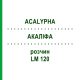АКАЛИФА (ACALYPHA) LM 120 раствор 10 мл - Гомеопатия ARCANA DR.SEWERIN