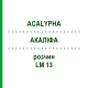 АКАЛИФА (ACALYPHA) LM 13 раствор 10 мл - Гомеопатия ARCANA DR.SEWERIN