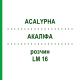 АКАЛИФА (ACALYPHA) LM 16 раствор 10 мл - Гомеопатия ARCANA DR.SEWERIN