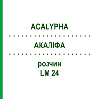 АКАЛІФА (ACALYPHA) LM 24 розчин 10 мл - Гомеопатія ARCANA DR.SEWERIN