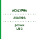 АКАЛИФА (ACALYPHA) LM 3 раствор 10 мл - Гомеопатия ARCANA DR.SEWERIN