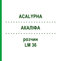 АКАЛІФА (ACALYPHA) LM 36 розчин 10 мл - Гомеопатія ARCANA DR.SEWERIN