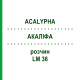 АКАЛИФА (ACALYPHA) LM 36 раствор 10 мл - Гомеопатия ARCANA DR.SEWERIN