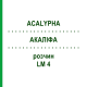 АКАЛИФА (ACALYPHA) LM 4 раствор 10 мл - Гомеопатия ARCANA DR.SEWERIN