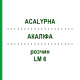 АКАЛИФА (ACALYPHA) LM 6 раствор 10 мл - Гомеопатия ARCANA DR.SEWERIN