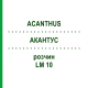 АКАНТУС (ACANTHUS) LM 10 розчин 10 мл - Гомеопатія ARCANA DR.SEWERIN