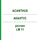 АКАНТУС (ACANTHUS) LM 11 розчин 10 мл - Гомеопатія ARCANA DR.SEWERIN