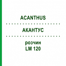 АКАНТУС (ACANTHUS) LM 120 розчин 10 мл - Гомеопатія ARCANA DR.SEWERIN