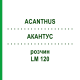 АКАНТУС (ACANTHUS) LM 120 розчин 10 мл - Гомеопатія ARCANA DR.SEWERIN