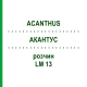 АКАНТУС (ACANTHUS) LM 13 розчин 10 мл - Гомеопатія ARCANA DR.SEWERIN