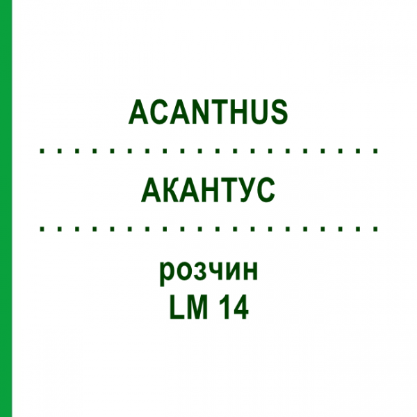 АКАНТУС (ACANTHUS) LM 14 раствор 10 мл - Гомеопатия ARCANA DR.SEWERIN