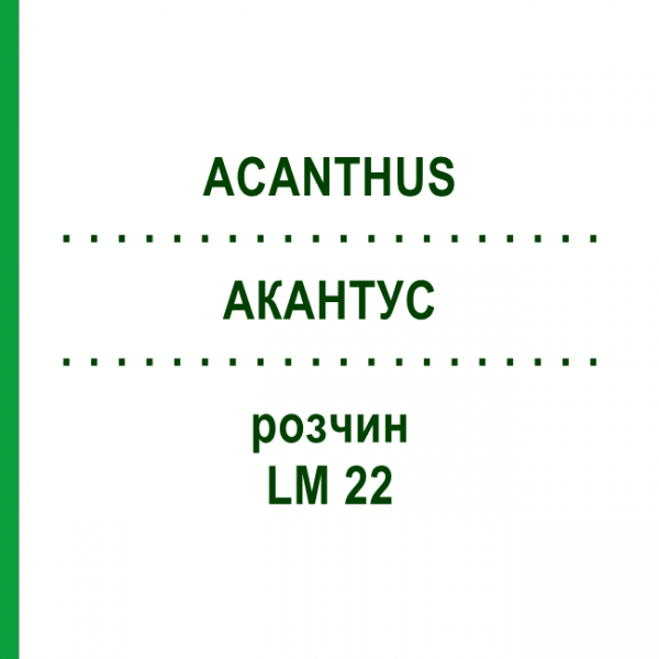 АКАНТУС (ACANTHUS) LM 22 раствор 10 мл - Гомеопатия ARCANA DR.SEWERIN