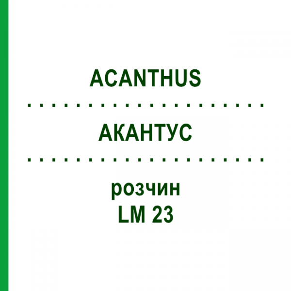 АКАНТУС (ACANTHUS) LM 23 раствор 10 мл - Гомеопатия ARCANA DR.SEWERIN