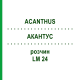 АКАНТУС (ACANTHUS) LM 24 розчин 10 мл - Гомеопатія ARCANA DR.SEWERIN