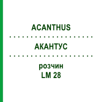 АКАНТУС (ACANTHUS) LM 28 розчин 10 мл - Гомеопатія ARCANA DR.SEWERIN
