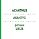 АКАНТУС (ACANTHUS) LM 28 розчин 10 мл - Гомеопатія ARCANA DR.SEWERIN