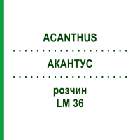 АКАНТУС (ACANTHUS) LM 36 раствор 10 мл - Гомеопатия ARCANA DR.SEWERIN