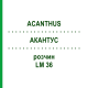 АКАНТУС (ACANTHUS) LM 36 розчин 10 мл - Гомеопатія ARCANA DR.SEWERIN
