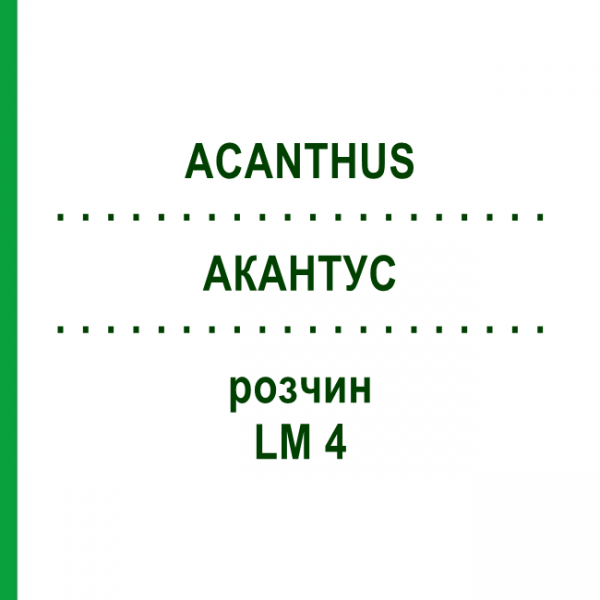 АКАНТУС (ACANTHUS) LM 4 раствор 10 мл - Гомеопатия ARCANA DR.SEWERIN