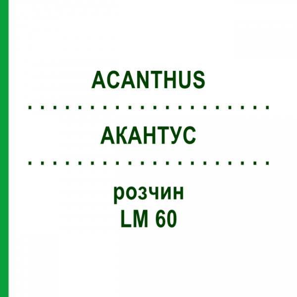 АКАНТУС (ACANTHUS) LM 60 раствор 10 мл - Гомеопатия ARCANA DR.SEWERIN