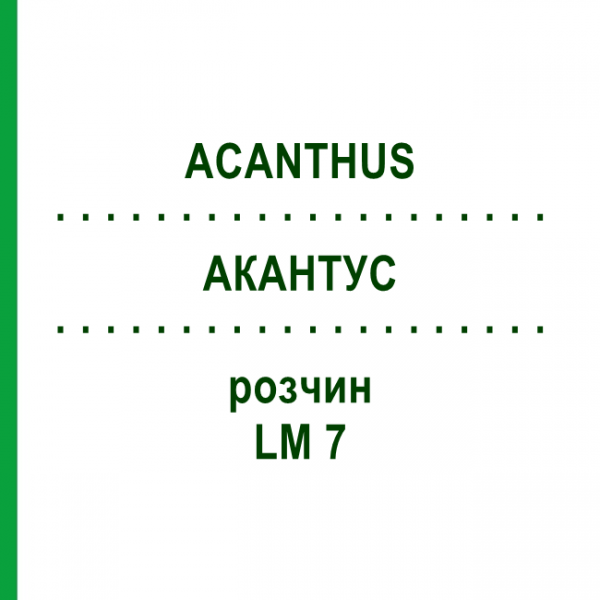 АКАНТУС (ACANTHUS) LM 7 раствор 10 мл - Гомеопатия ARCANA DR.SEWERIN