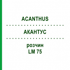 АКАНТУС (ACANTHUS) LM 75 розчин 10 мл - Гомеопатія ARCANA DR.SEWERIN