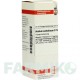 АЦИДУМ КАРБОЛИКУМ (ACIDUM CARBOLICUM) D 12 раствор 20 мл - Гомеопатия DHU