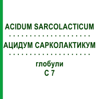 АЦИДУМ САРКОЛАКТИКУМ (ACIDUM SARCOLACTICUM) C 7 глобули 10 г - Гомеопатія DHU