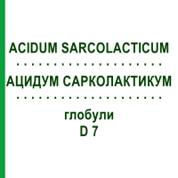 АЦИДУМ САРКОЛАКТИКУМ (ACIDUM SARCOLACTICUM) D 7 глобули 10 г - Гомеопатия DHU