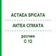АКТЕА СПИКАТА (ACTAEA SPICATA) C 12 раствор 20 мл - Гомеопатия DHU