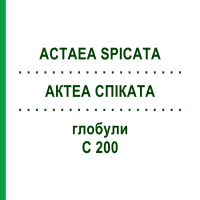 АКТЕА СПИКАТА (ACTAEA SPICATA) C 200 глобули 10 г - Гомеопатия DHU