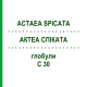 АКТЕА СПИКАТА (ACTAEA SPICATA) C 30 глобули 10 г - Гомеопатия DHU