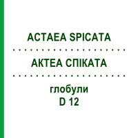 АКТЕА СПІКАТА (ACTAEA SPICATA) D 12 глобули 10 г - Гомеопатія DHU