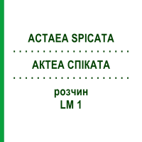АКТЕА СПИКАТА (ACTAEA SPICATA) LM 1 раствор 10 мл - Гомеопатия ARCANA DR.SEWERIN
