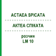 АКТЕА СПИКАТА (ACTAEA SPICATA) LM 10 раствор 10 мл - Гомеопатия ARCANA DR.SEWERIN